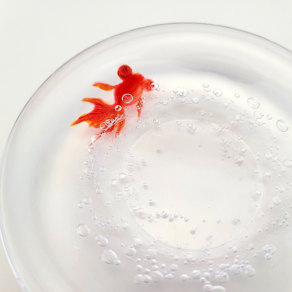豆池皿／金魚 | CLASS GLASS